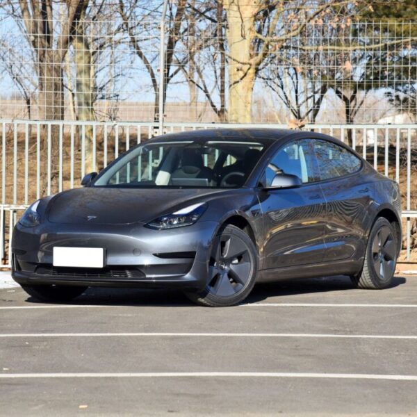 2022, Tesla Model 3 Standard, 556KM